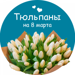Купить тюльпаны в Котельниково